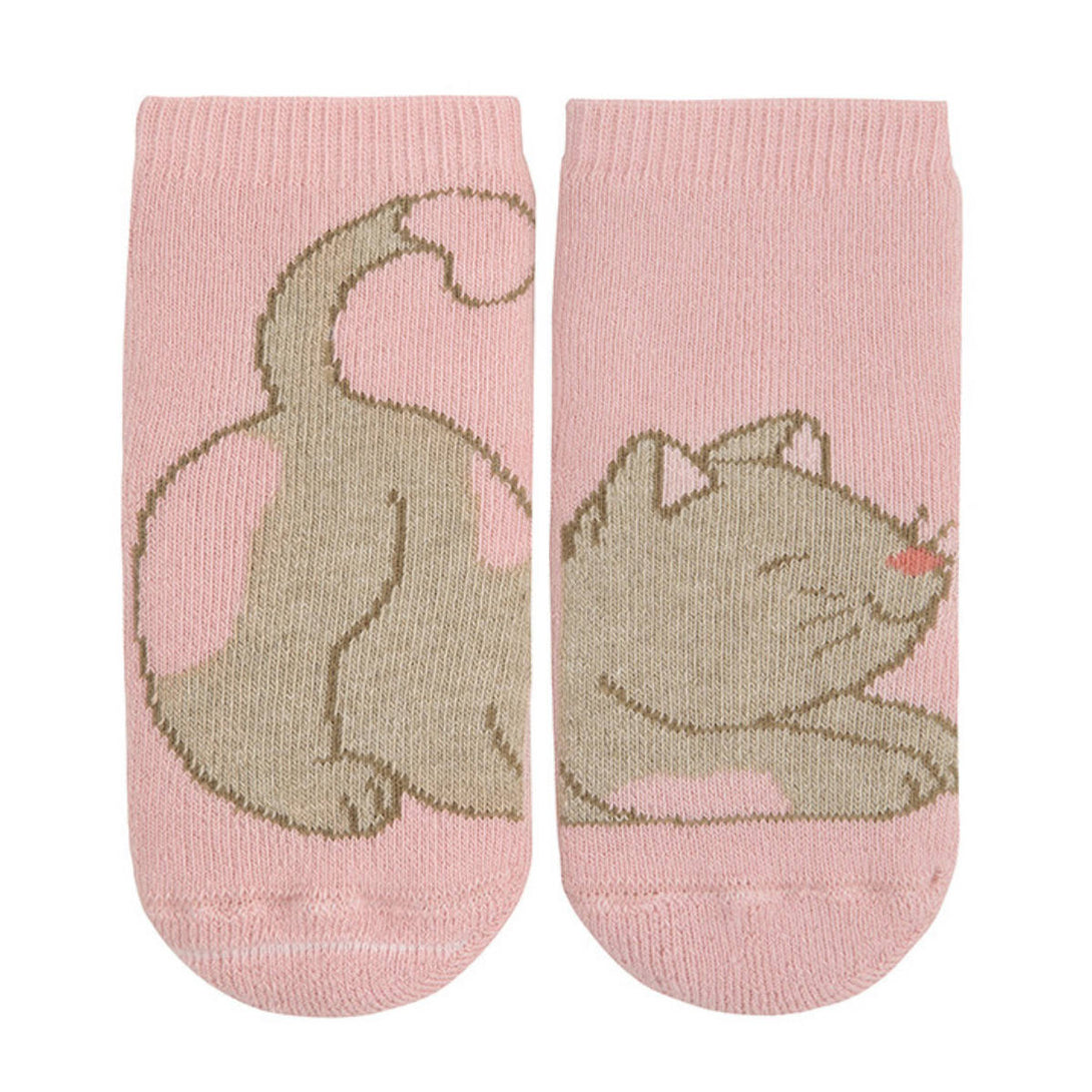 ロサパロ